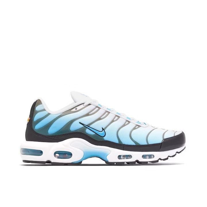 Nike Air Max Plus 'Baltic Blue'